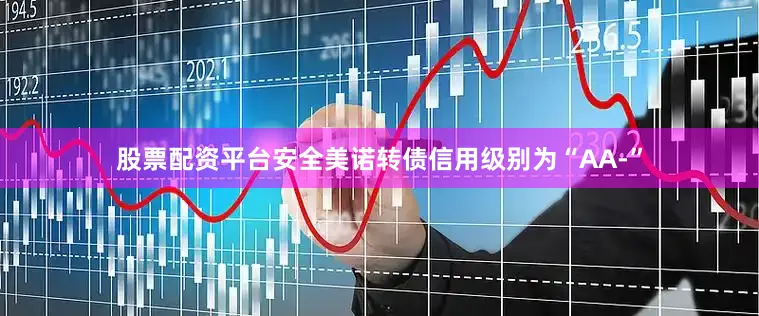 股票配资平台安全美诺转债信用级别为“AA-”